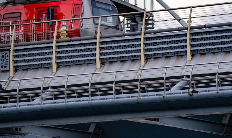 Hladnjak nije menza! Kako su prijatelji moje kćeri uništili naš dom