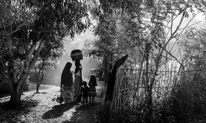 Ispod Sjene Starog Orasa: Priča o Lejli i Noći Koja Je Sve Promijenila