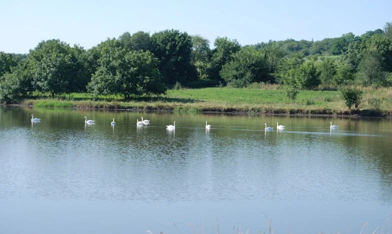 Između dužnosti i ljubavi: Kada mi je majka okrenula leđa