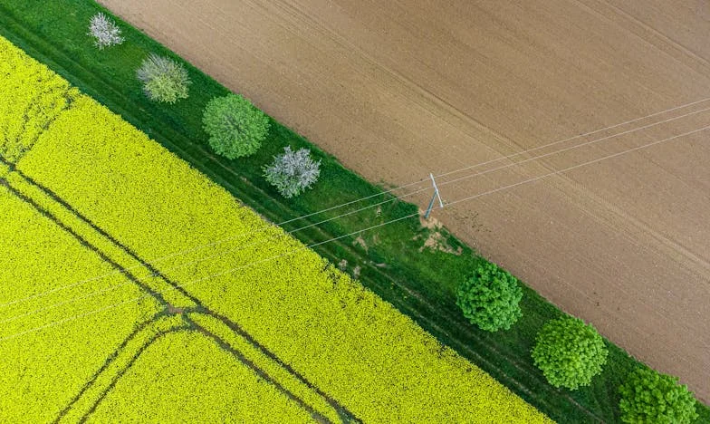 Jesam li samo bankomat? – Moja borba za ljubav i poštovanje u vlastitoj porodici