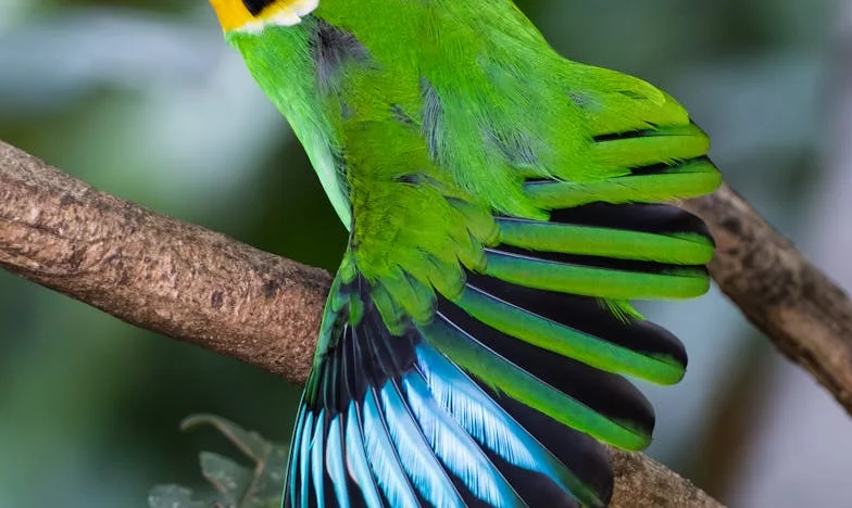 Kad je moj muž dao sve što sam napravila svojoj majci – obiteljska oluja iz srca zagrebačke svakodnevice