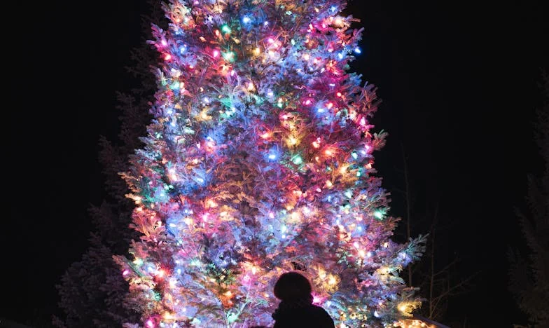 Kad mi je sin potajno oženio: Priča o izgubljenom povjerenju