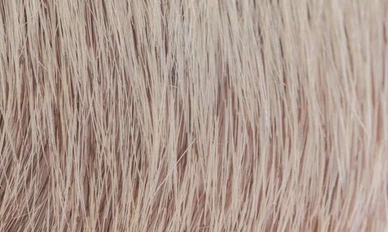 Kad sam djecu zamolila da posjete baku: Priča o ponosu, boli i oprostu