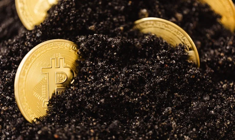 Kad se vrata zatvore: Priča o Paulini i majčinoj tišini