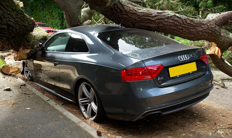 Kad Sudbina Okrene Leđa: Raspleteni Snovi Lejle i Dine