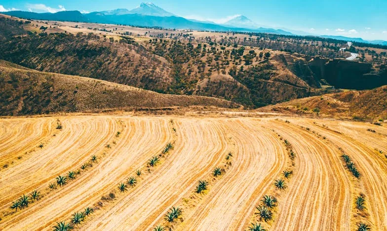 Moja svekrva, oluja u mom domu: priča o granicama, ljubavi i preživljavanju