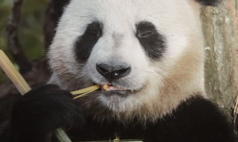 Na pragu pedesete: Odlazim od žene zbog ljubavi koja nikad nije umrla