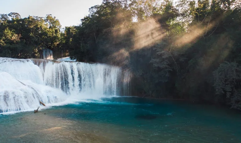 Nit koja puca: Priča jedne majke