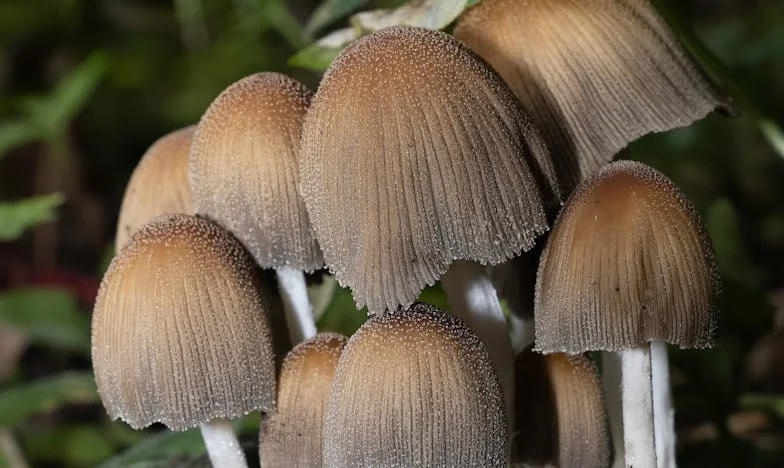 Svaki dan kuham za Damira: Kad je dosta?