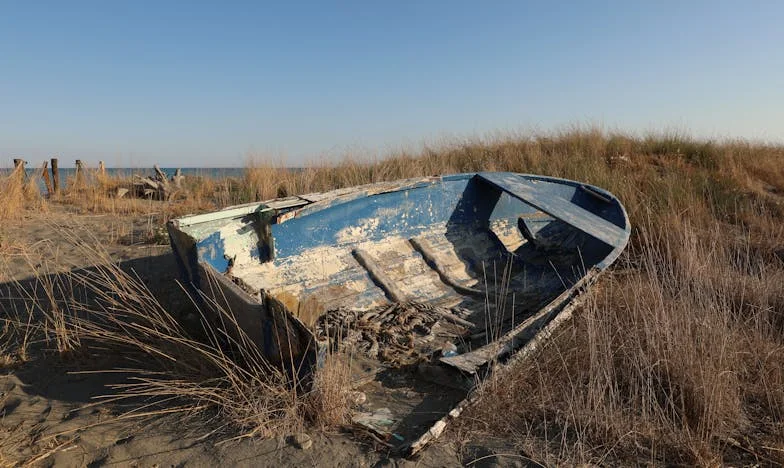 Sve za obitelj: Istina iza obiteljskog stola