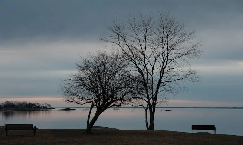 Tajna pod crnim kišobranom: Priča o izgubljenoj sestri