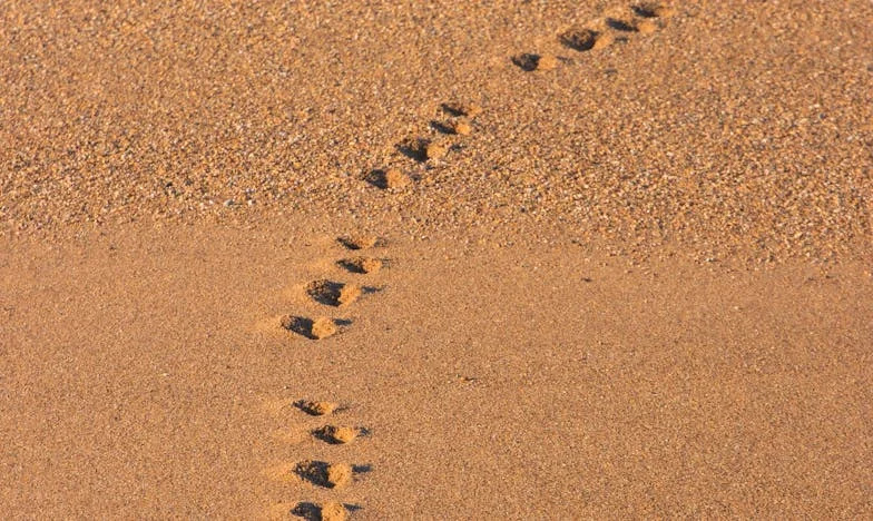 Teret ljubavi: Kad pomoć postane teret