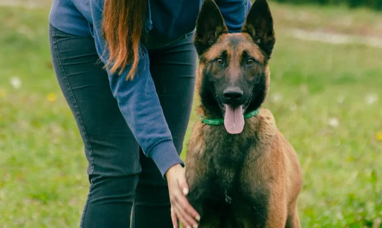 Između Oporuke i Oprosta: Kako Sam Pronašla Mir u Oluji Nasljedstva