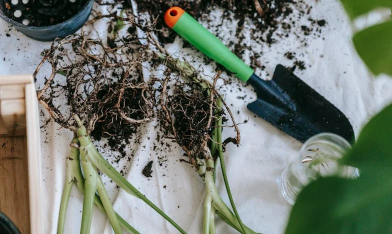 Zbog tebe jedva spajamo kraj s krajem – priča o majci koja zna raniti više od života
