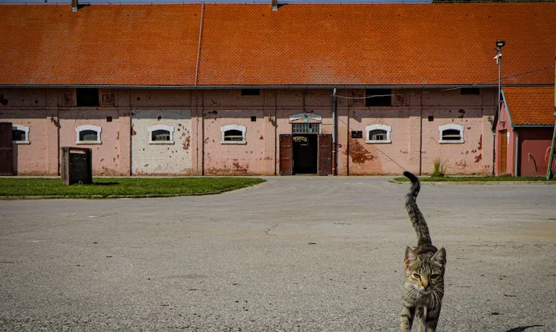 „Chcę się rozwieść.” – Sekunda, która rozbiła moje życie