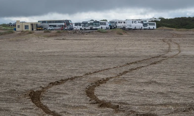 Babciu, to twój wnuk, ma sześć lat. Historia Heleny Janickiej z małego miasteczka