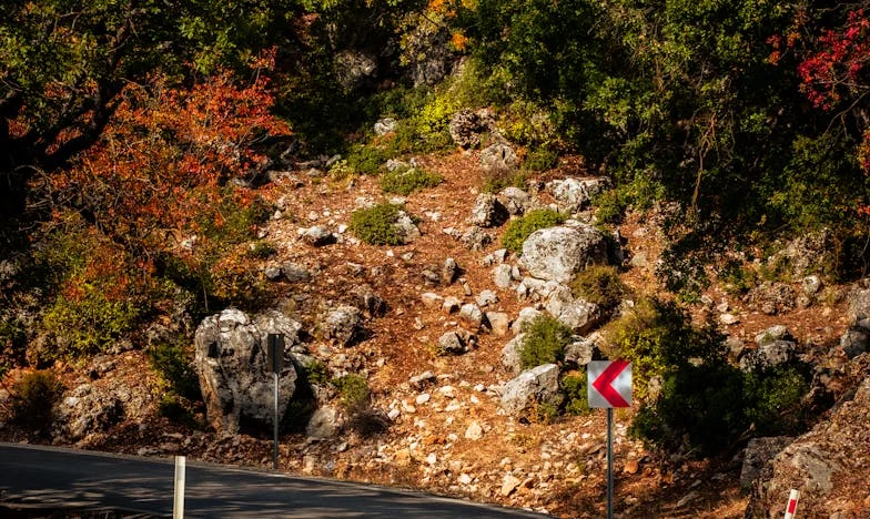 Bal, którego nikt nie zapomni – historia Zosi Nowak