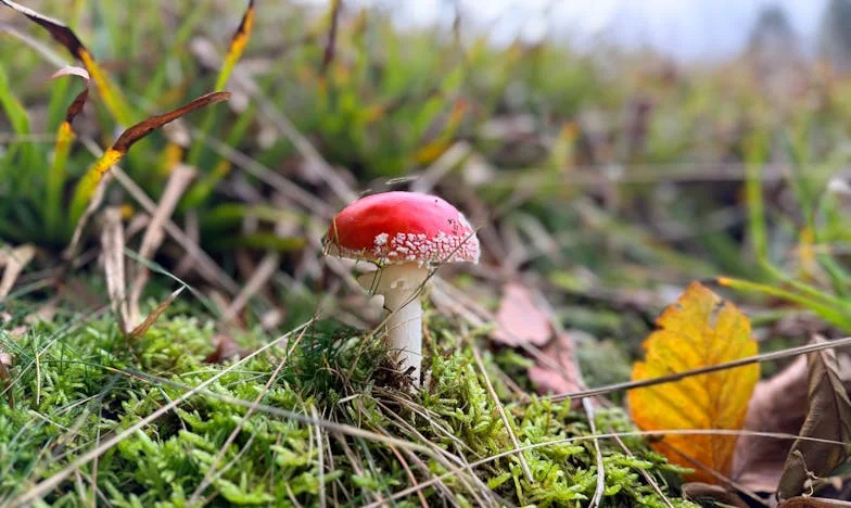 Czy naprawdę zasłużyłam na taką obojętność? Historia matki, która poświęciła wszystko dla córek