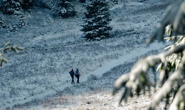 Kiedy miłość dostaje metkę z ceną: Historia Jany i Pawła, czyli ile warte jest nasze życie razem?