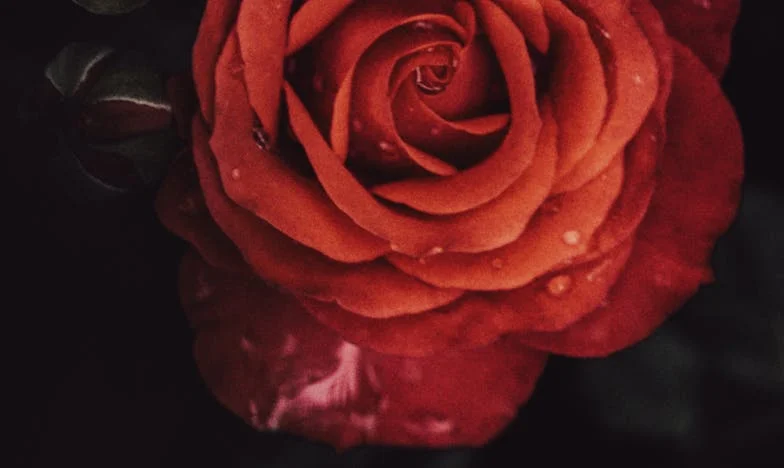 Kiedy pieniądze stają się ważniejsze od miłości: Moja walka o dom