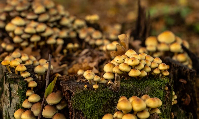 Kłamstwo, które prawie zniszczyło rodzinę: historia odnalezienia syna po siedmiu latach