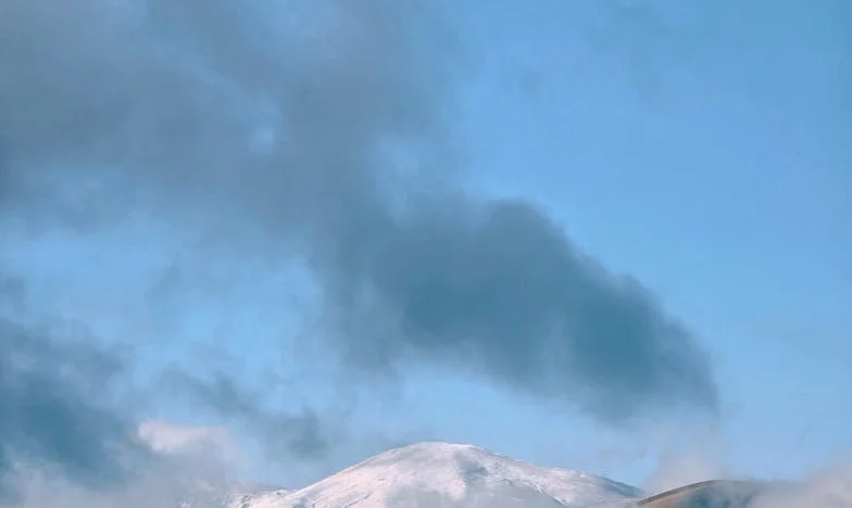 Kłótnia, która zabrała mi wnuczkę: Historia matki i babci w jednym