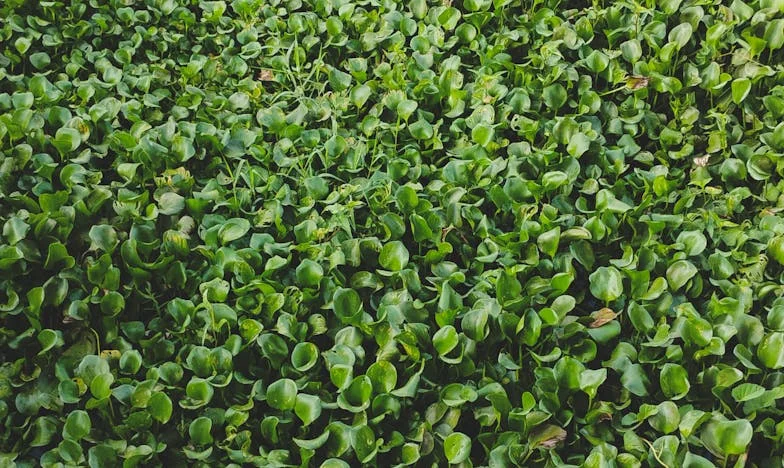 Mama zostawiła wszystko bratu – historia, która złamała mi serce