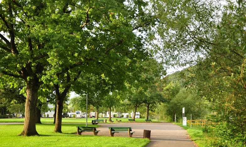 Miesiąc na wyprowadzkę: Decyzja mojej teściowej