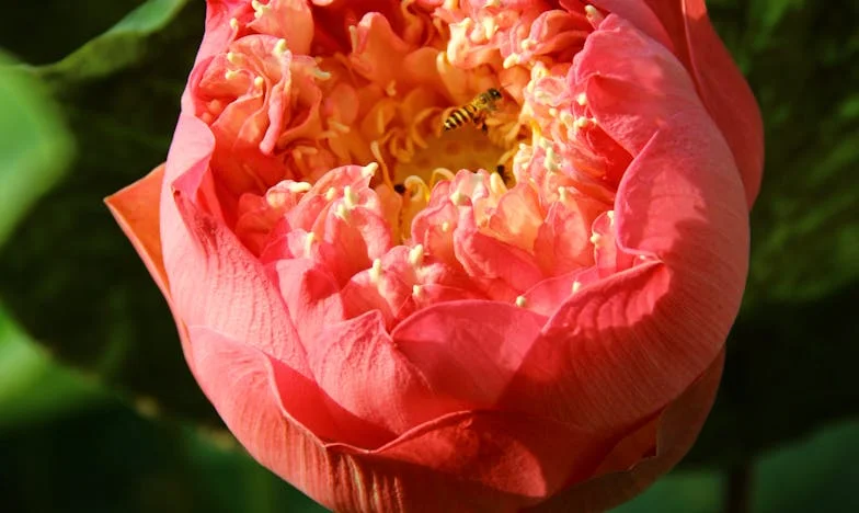 Nie jestem z żelaza! Ból za synem i wnukiem, ale nie dam się więcej zastraszyć!