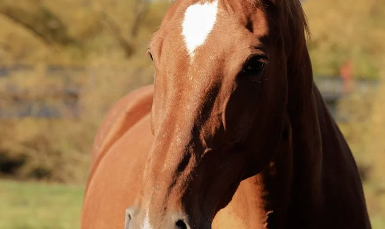 Notatka spod śmietnika: Jak jeden gest odmienił moje życie i rodzinę