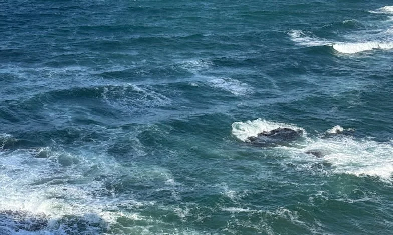 Paczka, która rozbiła rodzinę: Opowieść o wieńcu, który zmienił wszystko