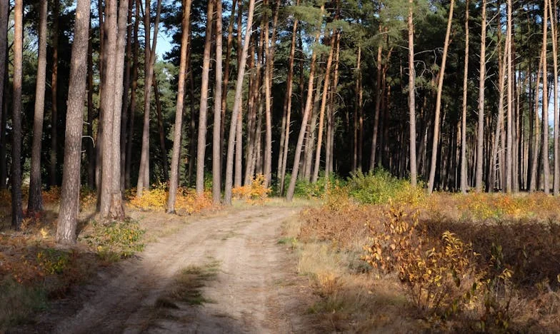 Pasierb niszczy naszą rodzinę: Jak pozbyć się jego obecności?