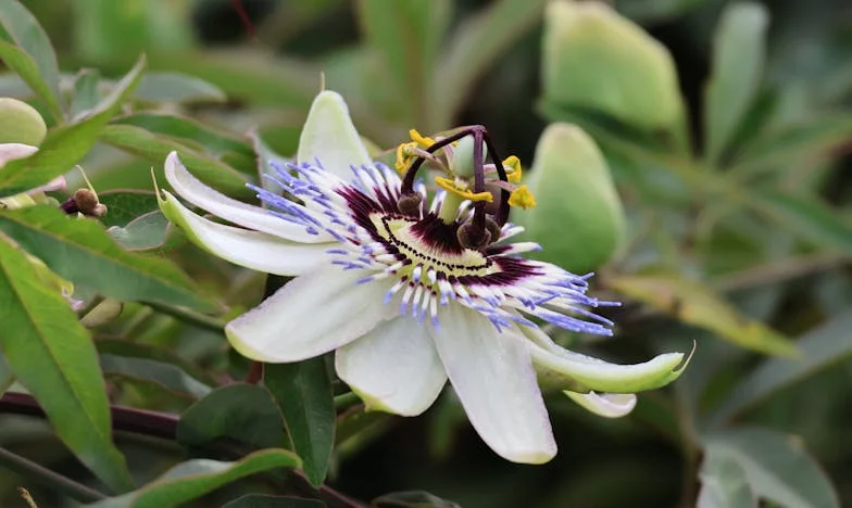 Pierwsza klasa, lament matki i mój upadek – historia, która zmieniła wszystko