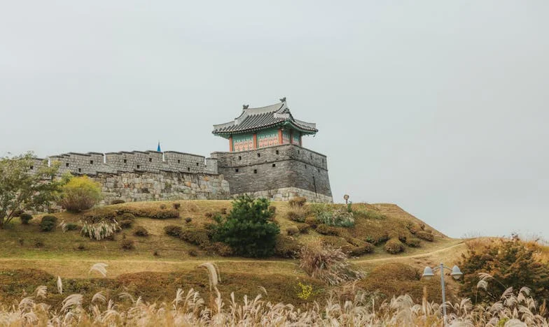 Po latach pracy za granicą wróciłam do Polski. Dzieci nie chcą mnie wpuścić do domów, które im kupiłam. Gdzie popełniłam błąd?