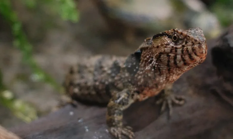 Prezent z nutą bólu – historia, która zmieniła moje życie