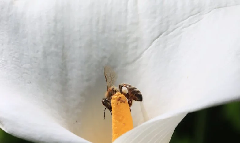 Przetrwać ciosy losu: Historia Władysławy Romanowskiej