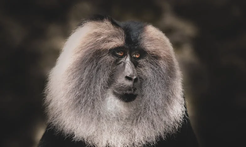 Samotność w cieniu miłości: Czy naprawdę jestem tylko ciężarem dla własnej córki?