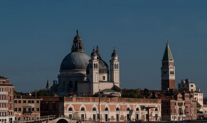 Sąsiadka żąda, bym zniszczyła róże z powodu jej alergii – historia, której nie zapomnę
