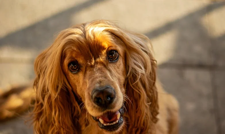 Wyjście z cienia: Jak odważyłam się zawalczyć o siebie, gdy wszyscy mówili, że powinnam wytrwać