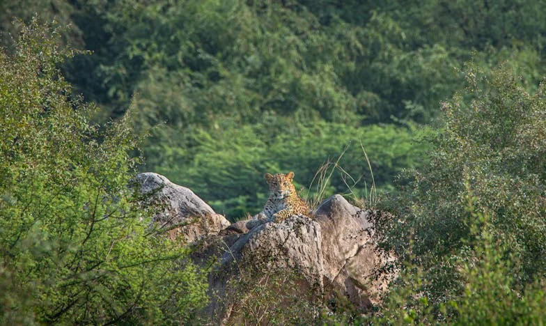 Zdrada przyjaźni: Historia życia rozbitego przez zaufanie