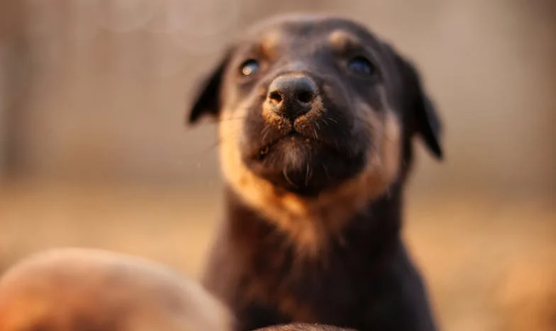 "Będziesz spała w kuchni, mamo" – historia Elżbiety z Gdańska
