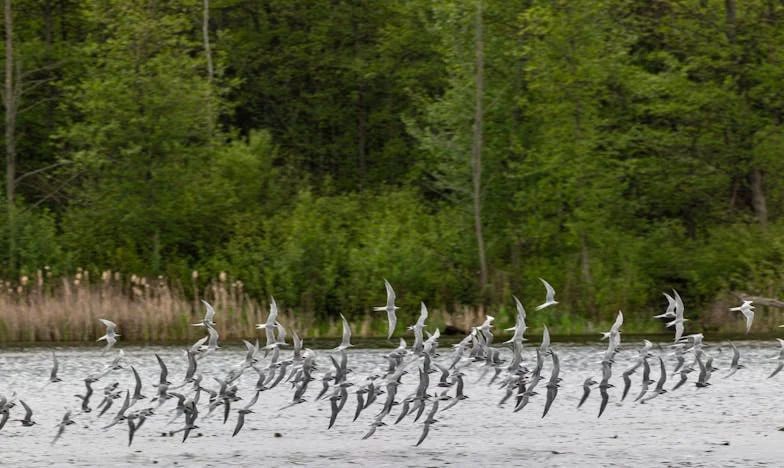 Bez ostrzeżenia… Postawił mnie przed faktem: jak miłość stała się gorzkim rozczarowaniem