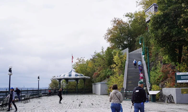 Cichy telefon w środku nocy – historia Kingi