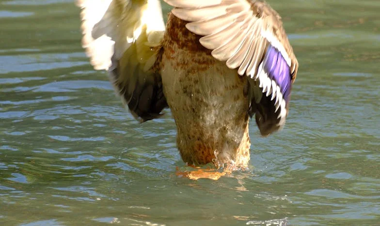 Czy naprawdę jestem tą złą teściową? Historia matki, która chciała dobrze, a wszystko się zawaliło