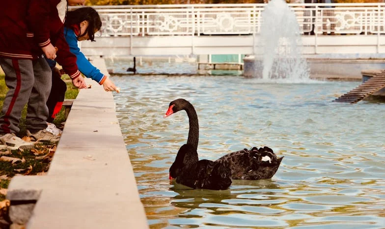 Feniks: Odrodzenie z Popiołów – Historia Pawła z Opustoszałej Łodzi