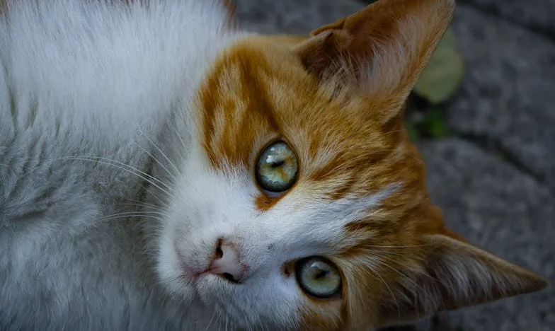 Gdy szczęście zapukało do drzwi – historia Magdy z warszawskiego blokowiska