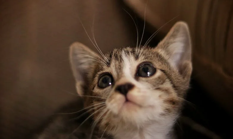 Gdy życie wali się w gruzy – historia Magdy z Bydgoszczy