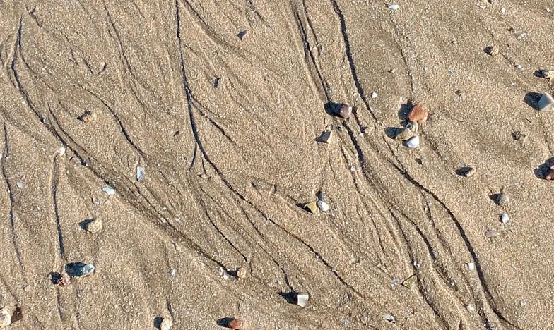 Głos, który uciszył wszystko. Historia Zosi z Liceum im. Marii Konopnickiej
