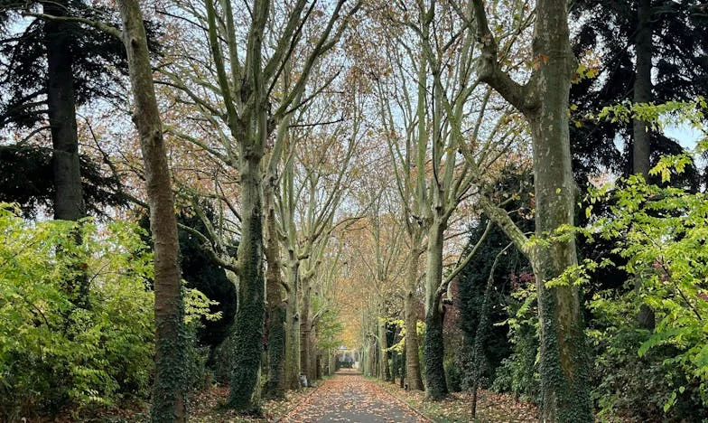 Gorzki smak rodzinnych śniadań: historia o tajemnicy, zdradzie i przebaczeniu