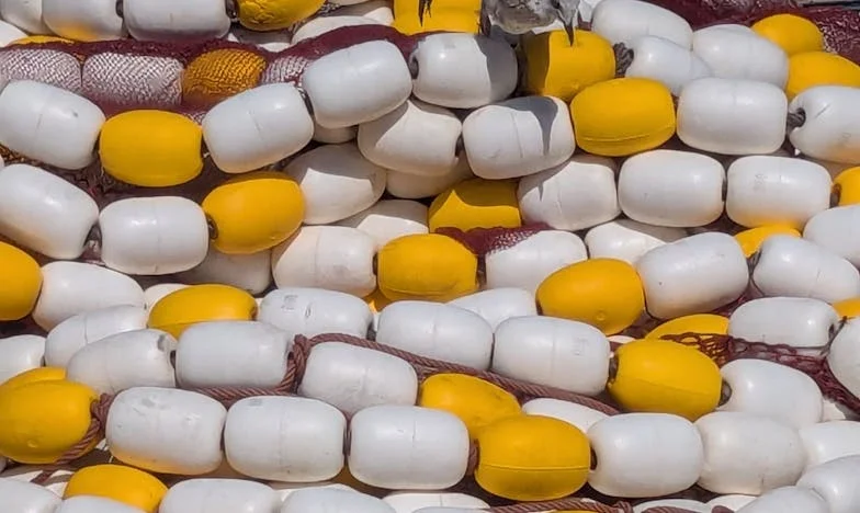 Idźcie, a ja was dogonię – Historia o rodzinnych sekretach i rozczarowaniach